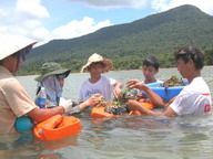Seagrass in the South China Sea
