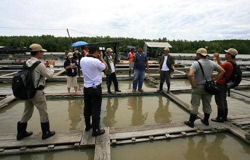 South China Sea Project Mangrove Training Workshop - Aquaculture