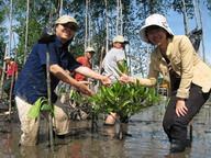 Regional Training Workshop on Mangroves