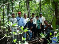 Regional Working Group on Mangroves