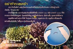 Coral Reefs in the Gulf of Thailand