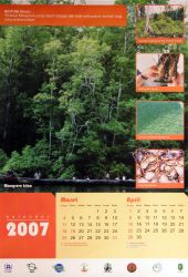 Indonesia’s South China Sea Mangroves Calendar - 3