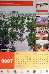 Indonesia’s South China Sea Mangroves Calendar - 4