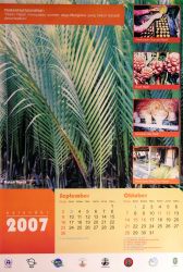 Indonesia’s South China Sea Mangroves Calendar - 6