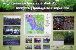 Peam Krasop Mangrove and Wetland Habitat Demonstration Site