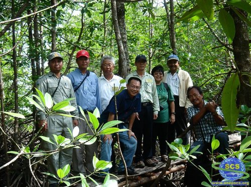  South China Sea Projects Regional Working Group on Mangroves