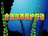 China Seagrass 1