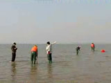 China's Seagrass Site in the News - 2