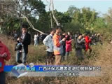 Fangchenggang-Mangrove-China-TV-News